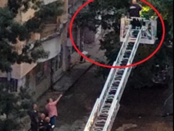 Полицай и пожарникари буквално си беряха пари от дърветата Това